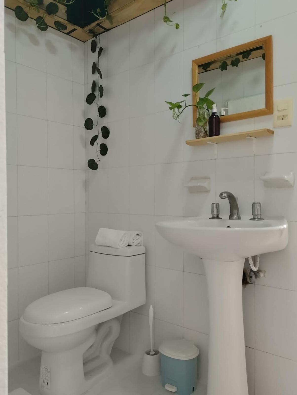Casa Palmita Guest house