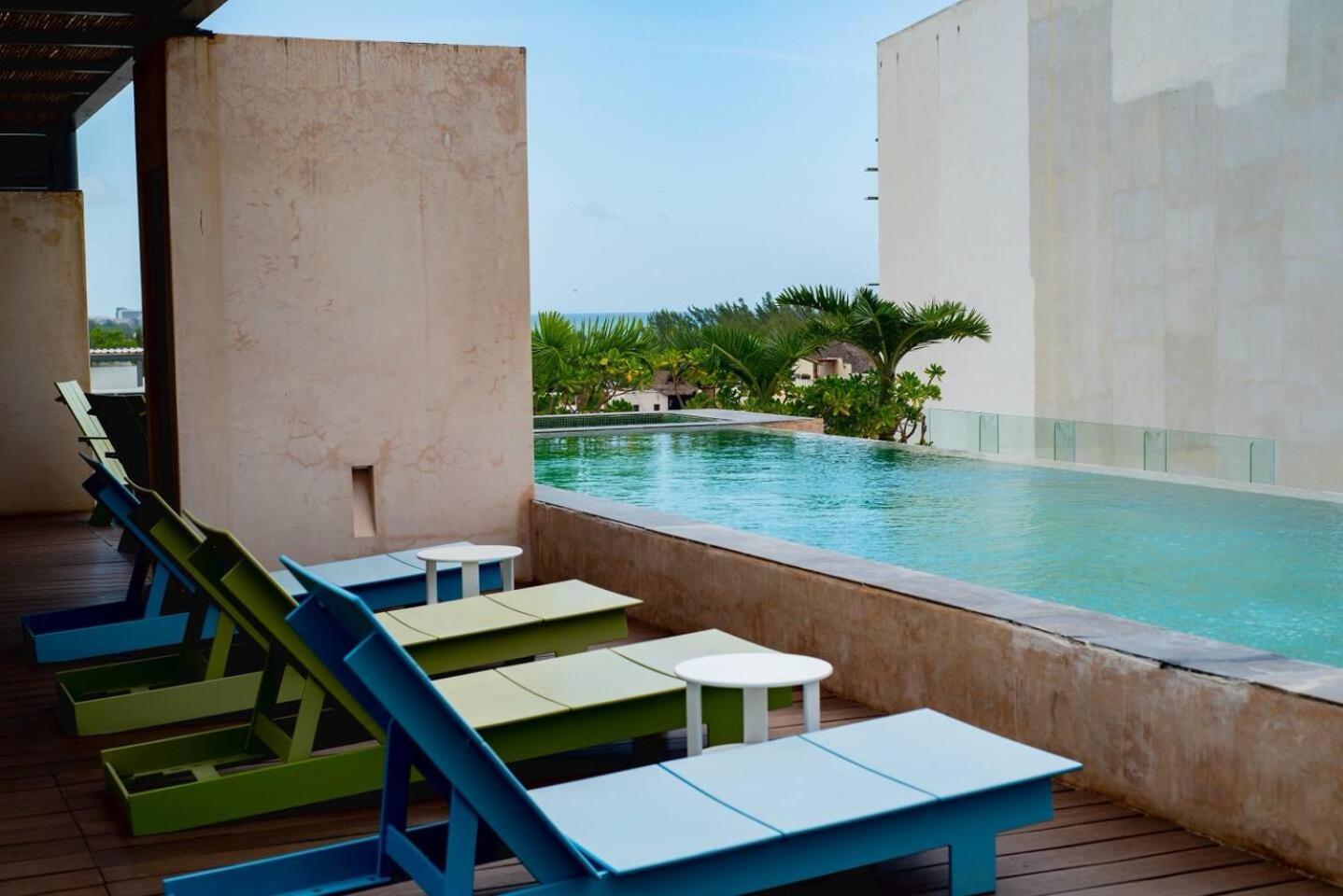 Apartment En El Corazon De Playa Del Carmen, Sabor A Miel