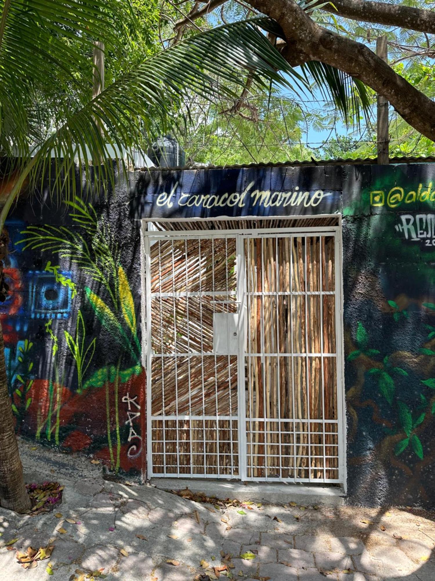 Căn hộ Jungle&beach