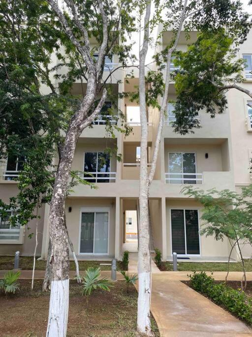 Apartment Departamento La Selva J.m.