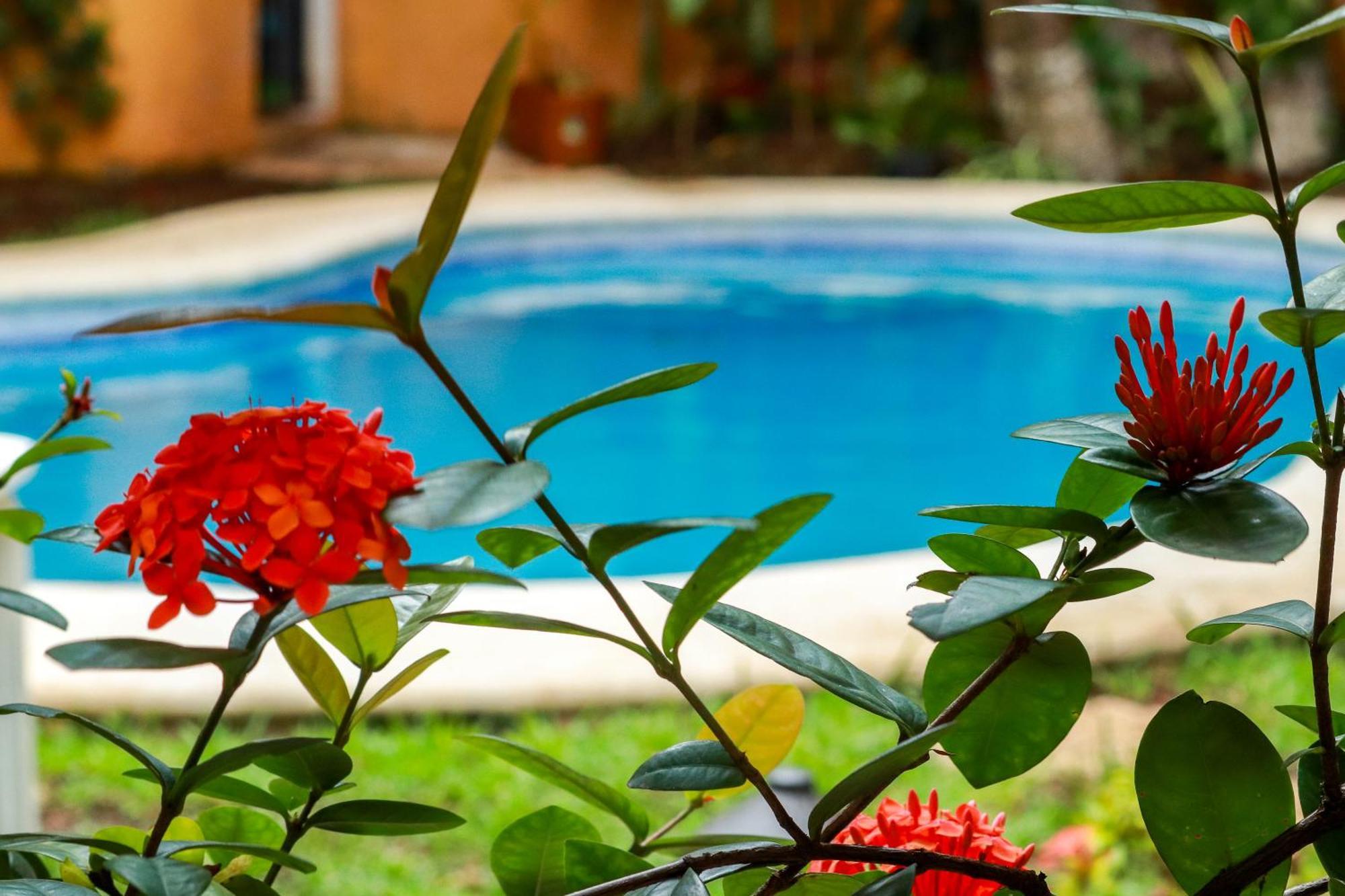 Hotel Bosque Caribe, 5th Av. Zone