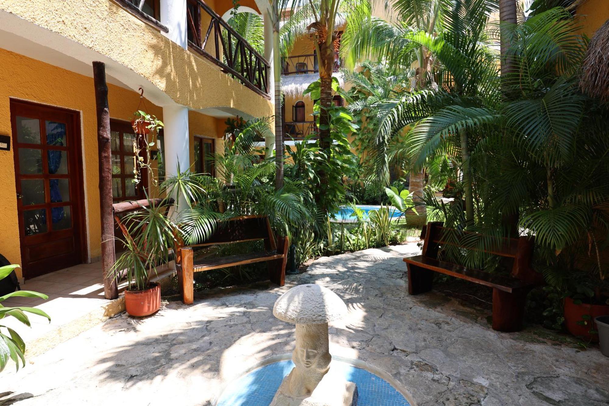 Bosque Caribe, 5th Av. Zone Playa del Carmen