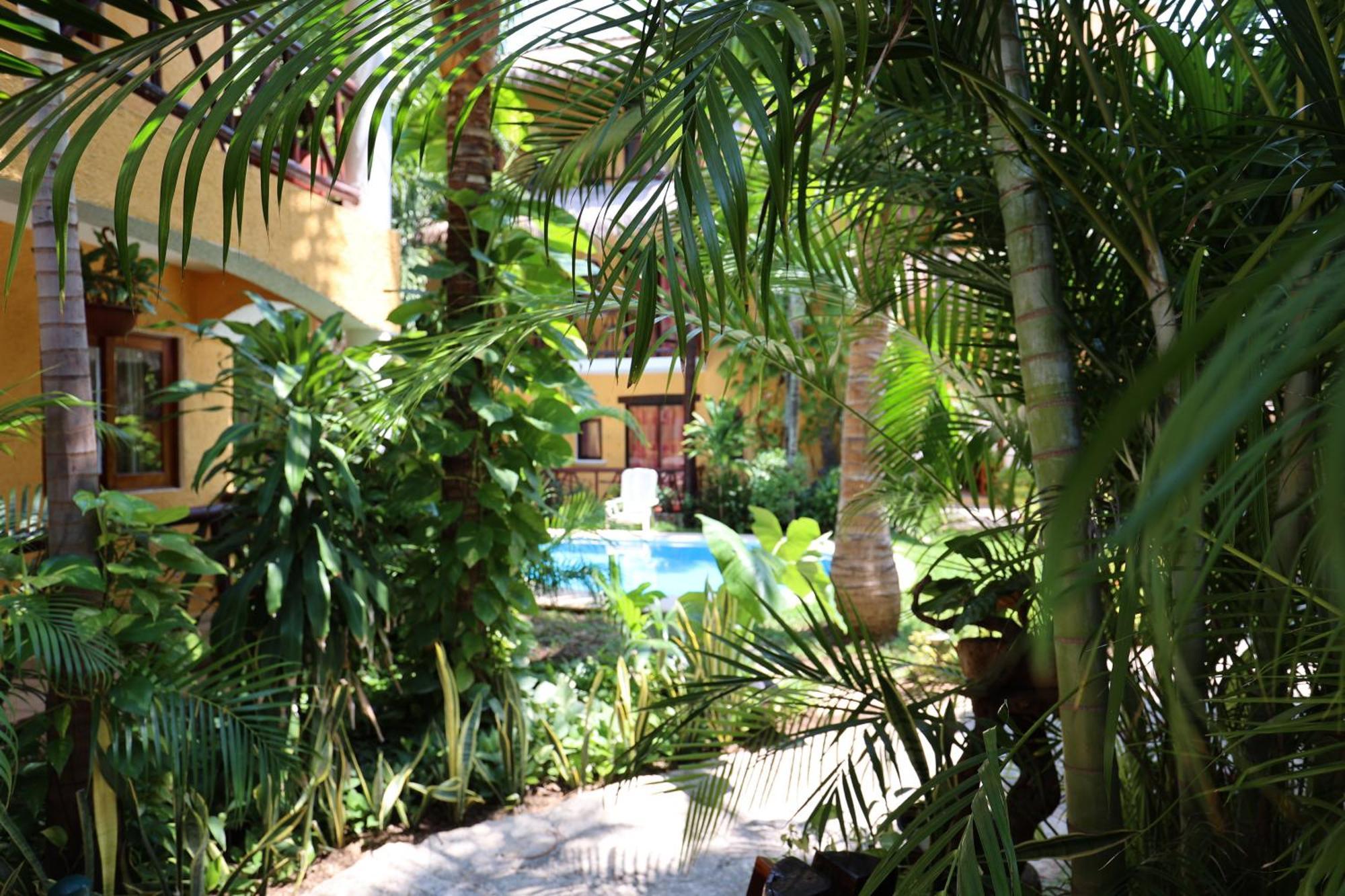 Hotel Bosque Caribe, 5th Av. Zone 3*