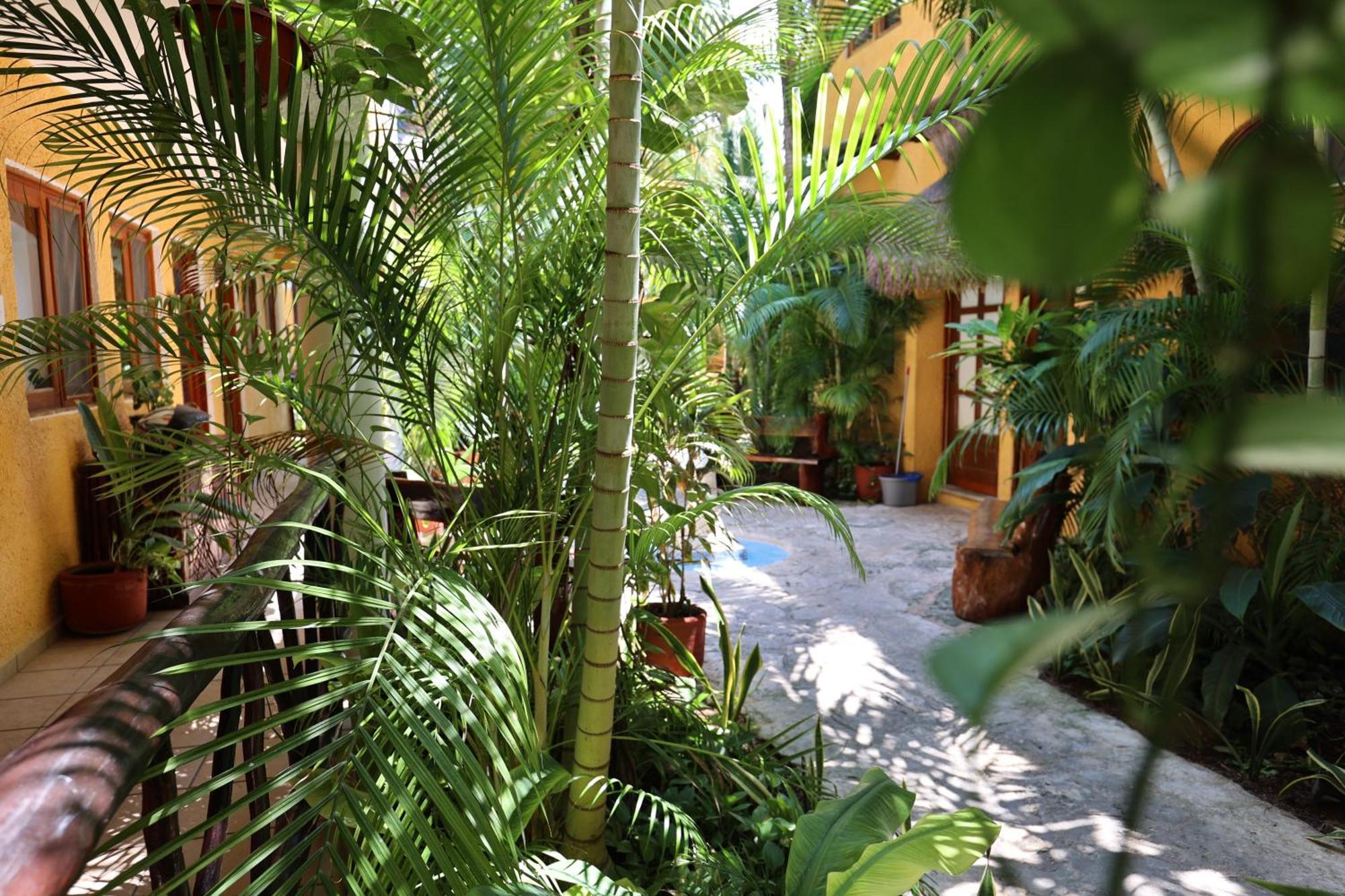 Bosque Caribe, 5th Av. Zone 3* Playa del Carmen