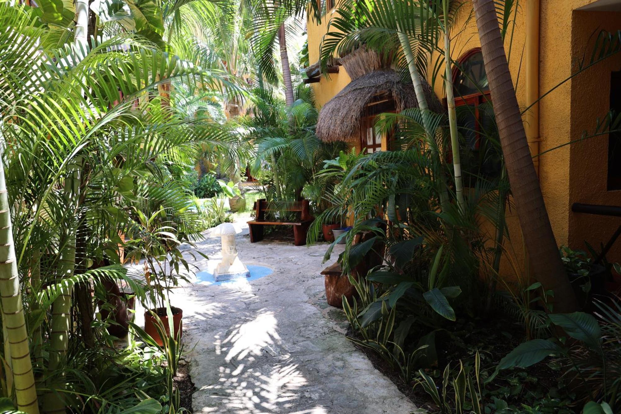 Hotel Bosque Caribe, 5th Av. Zone Playa del Carmen