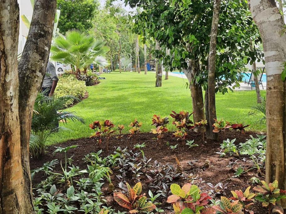 Nhà nghỉ Casa De 3 Todas Con Bano Propio, 3 Y Medio Banos En Toal, Alberca, Cupo Hasta 12 Personas *