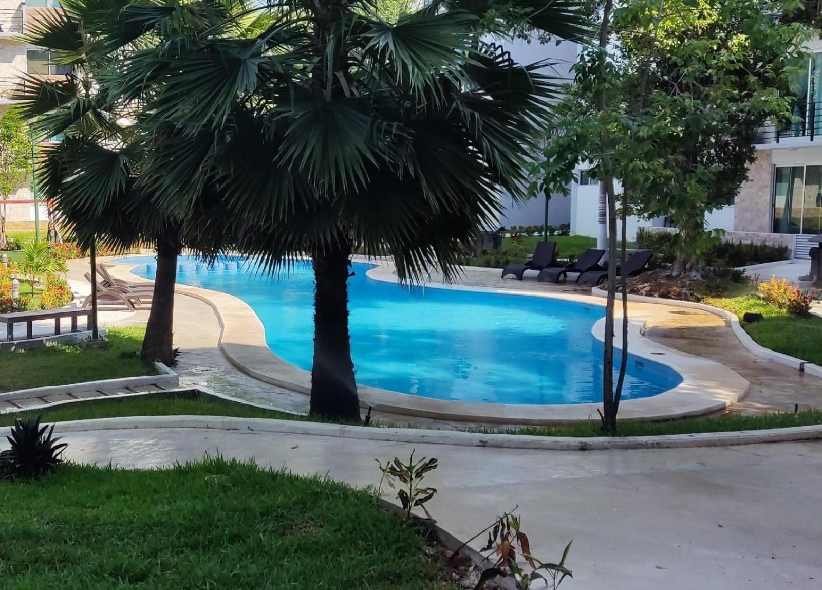 Apartment Startip Condo Playa Del Carmen Piscina, Wi-Fi Y Restaurantes