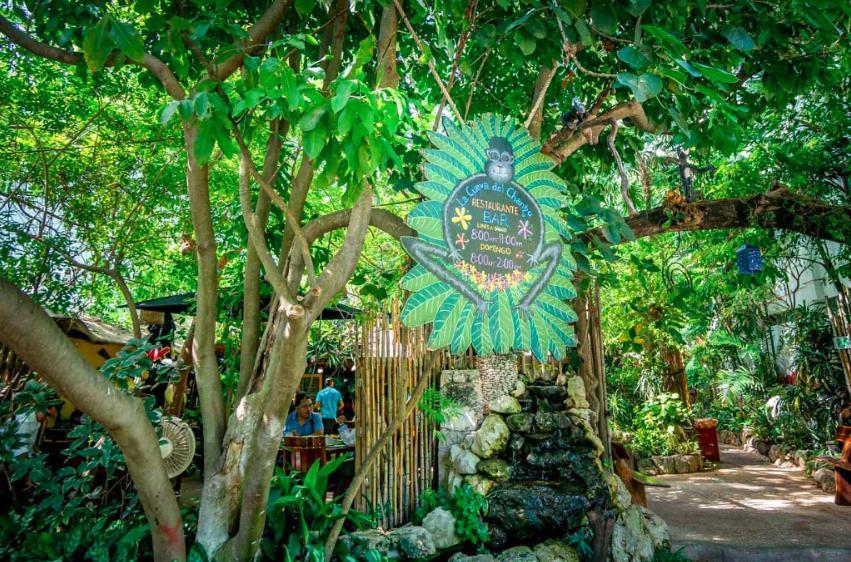 Ipana By 5th Ave * Playa del Carmen