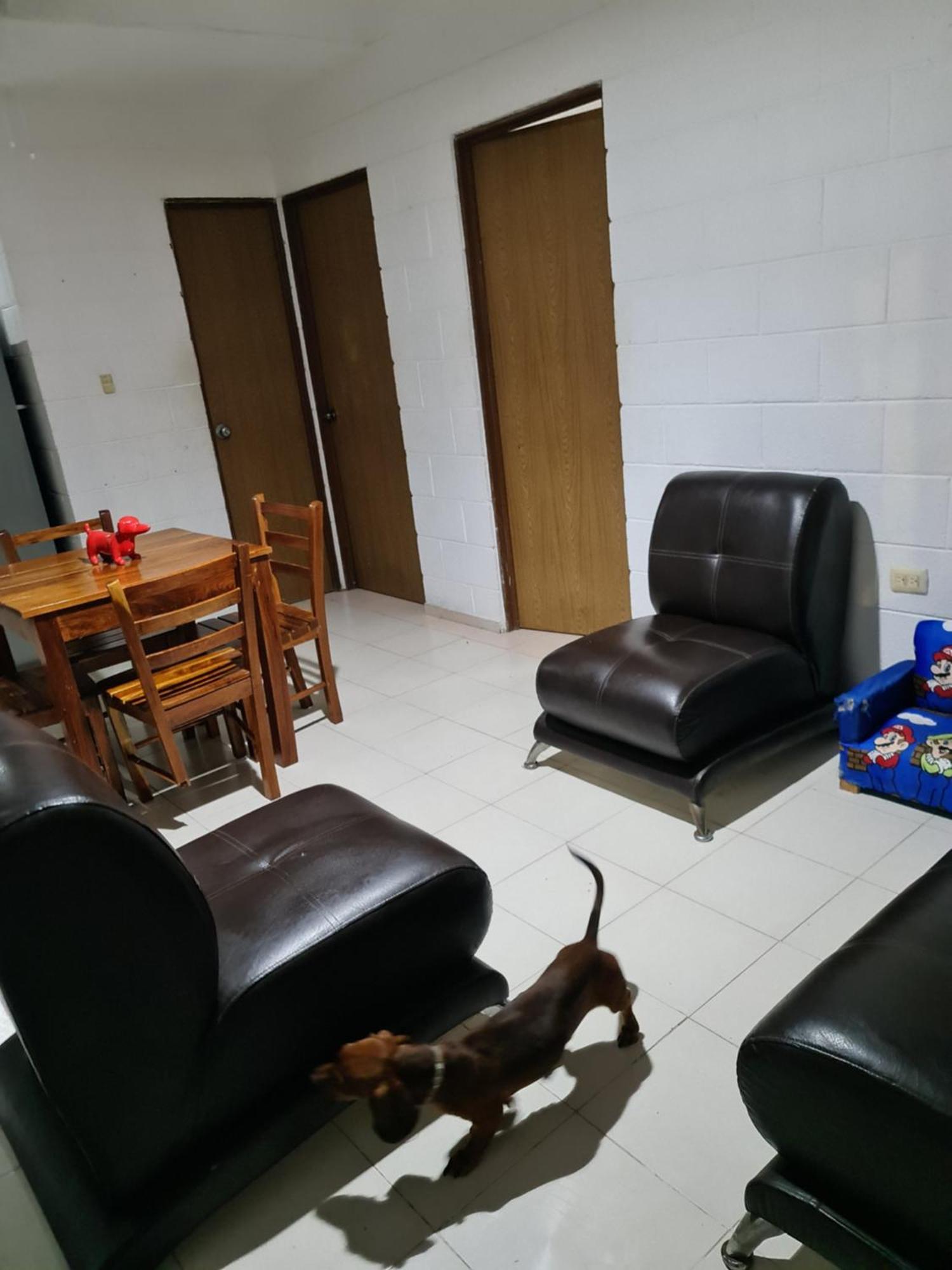 Casa Dachshound Camping Playa del Carmen