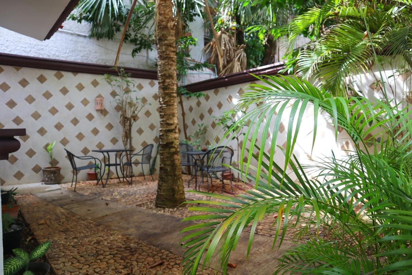 Apartment Ideal Spot Close To The