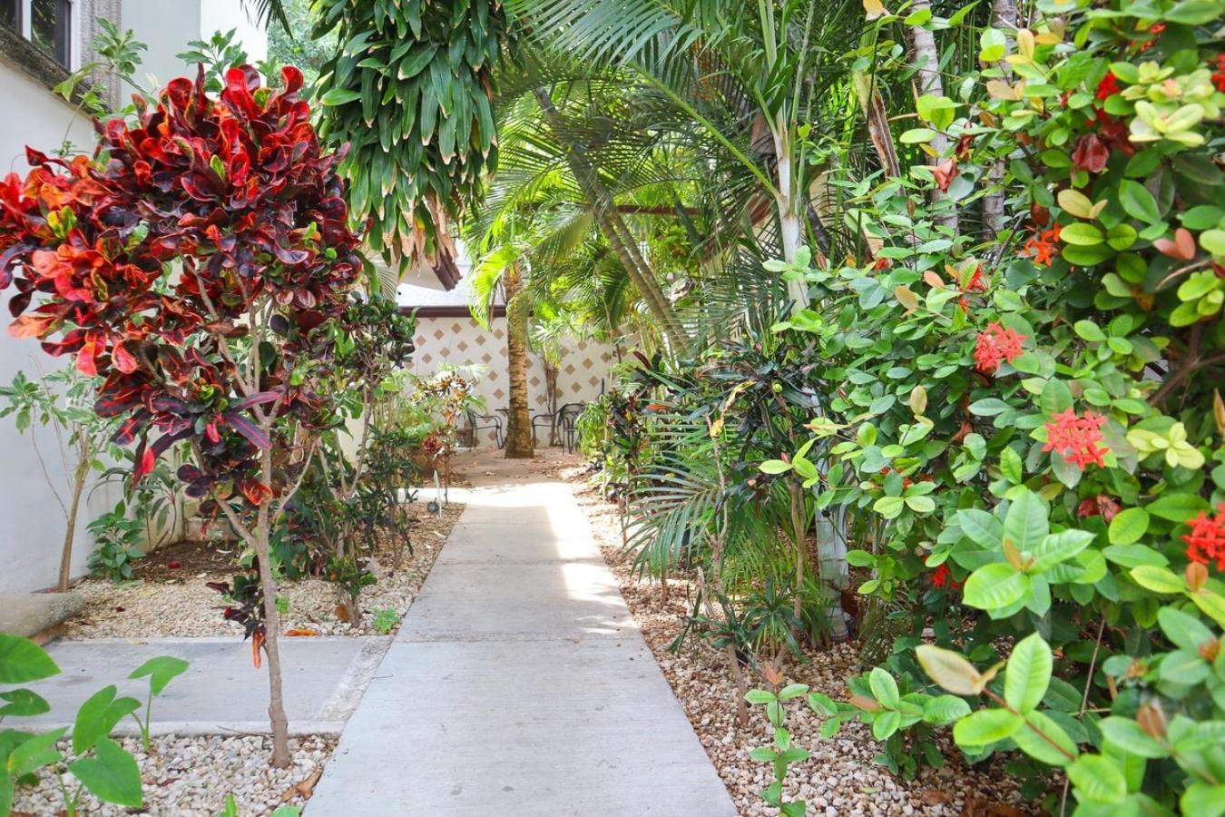Ideal Spot Close To The Apartment *