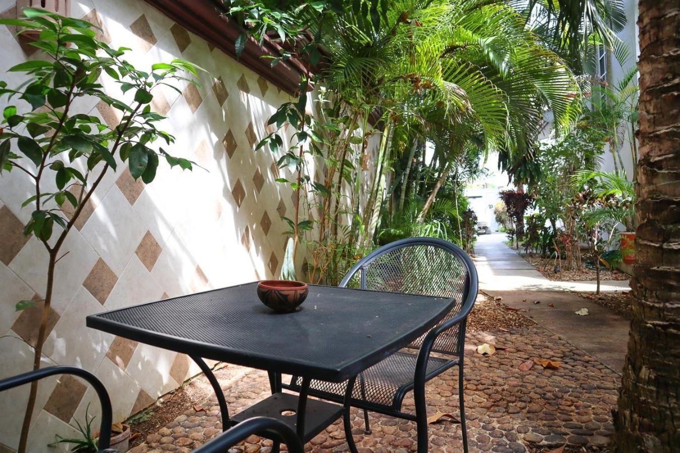 Apartment Ideal Spot Close To The