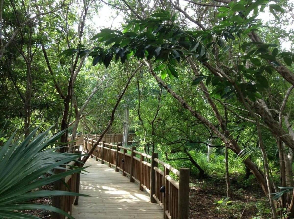 2bd Grand Bliss Vidanta Riviera Maya Ferienhaus *