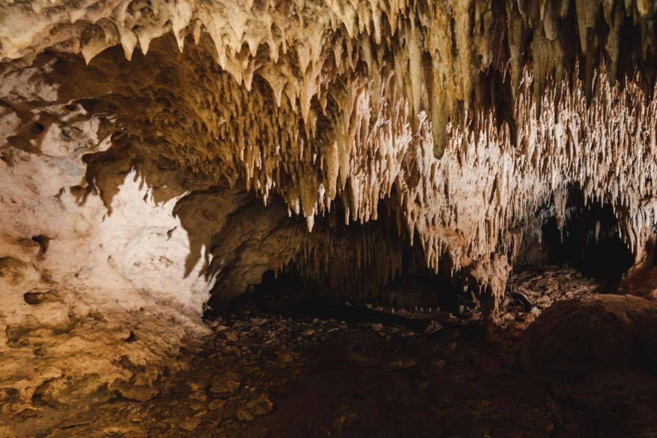 Tenda de luxo Xcaret Oasis Private Cave For 3 *