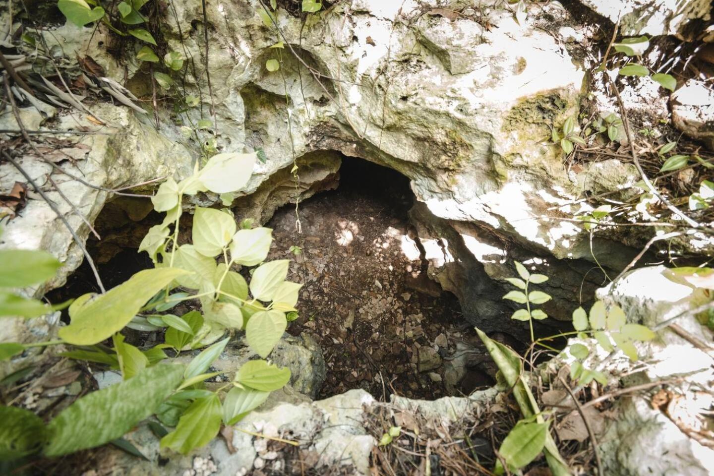 Tenda de luxo Xcaret Monkeys And Nature Playa del Carmen