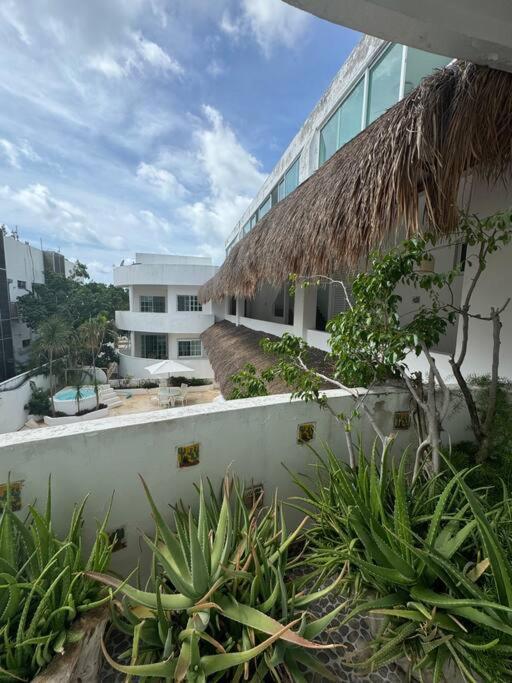 Apartment Acogedor Depto En 5ta Av Playa del Carmen