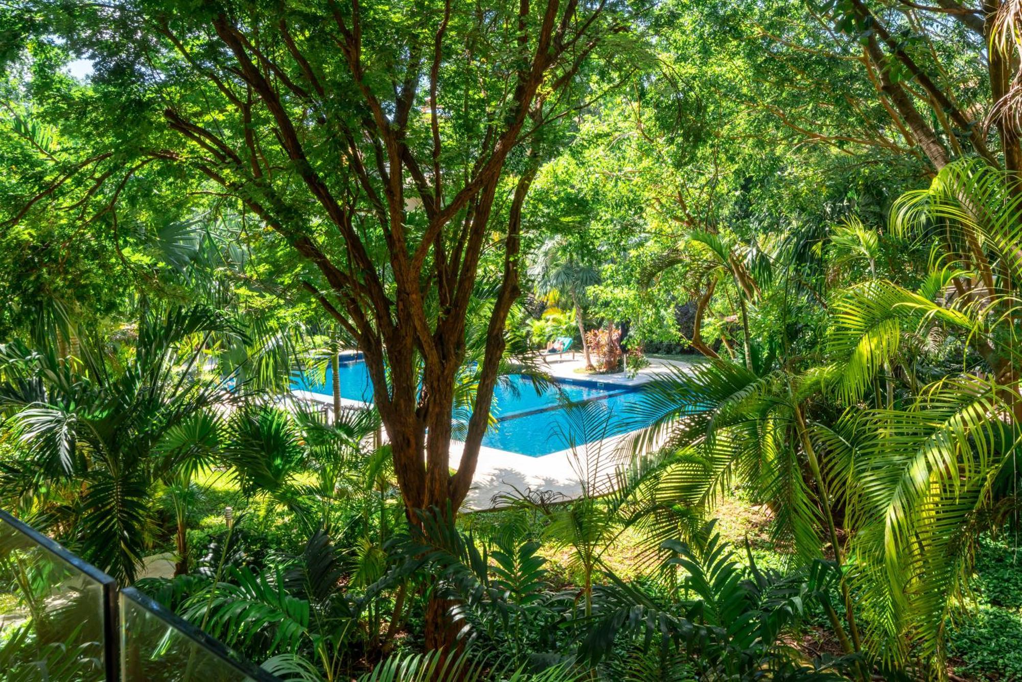 2 Bedroom With 4 Pools & Gym - Vaiven 124 - Playacar Căn hộ Playa del Carmen