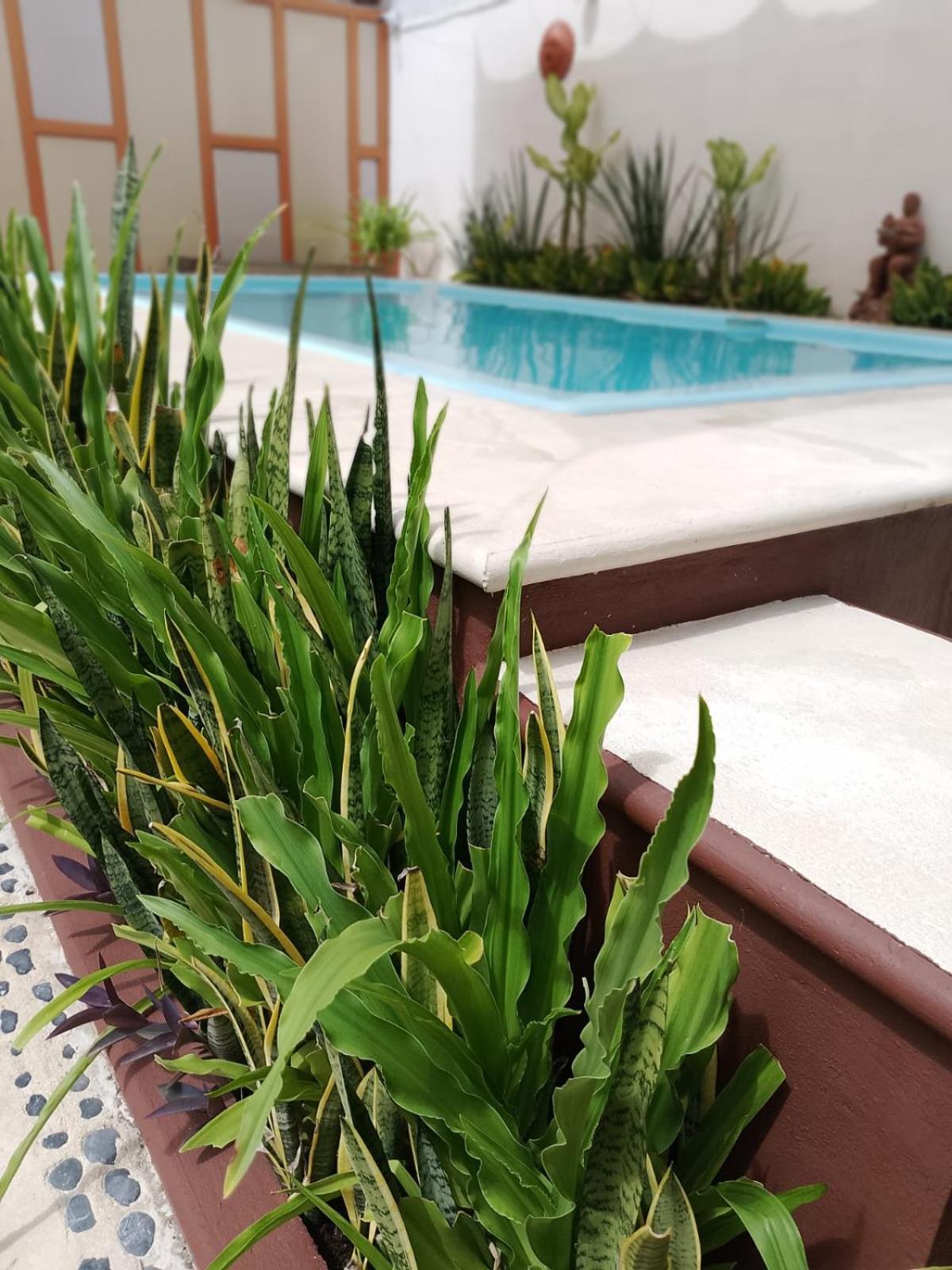 Khách sạn Casa Bkl *