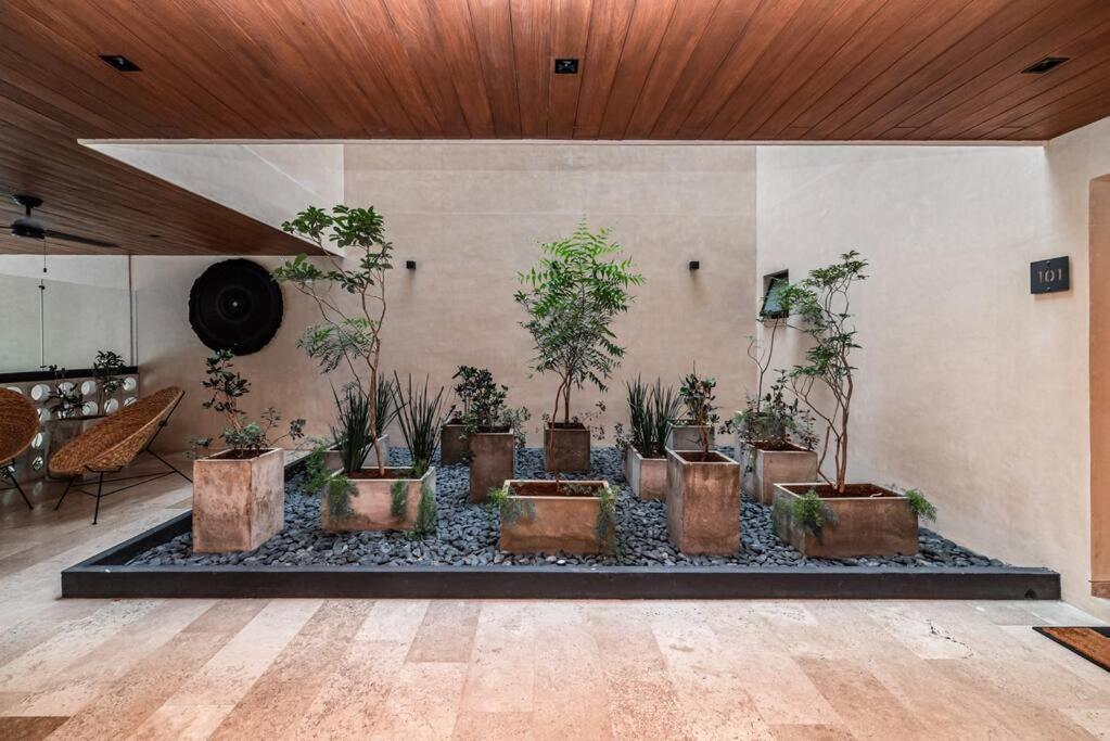 Apartment Depto Cerca De La Quinta Avenida En Kaahal *
