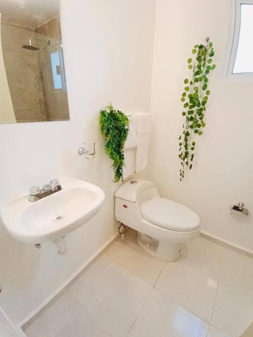 Apartment Mayakoba Serenity - 10min - Wifi - Pool *