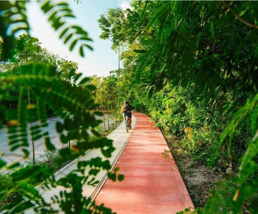 Apartment Mayakoba Serenity - 10min - Wifi - Pool *