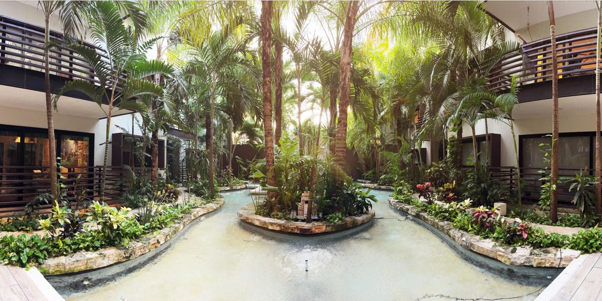 Apartment Modern 2-bedroom, 2-bath In The Heart Of Playa Del Carmen- Arenis *