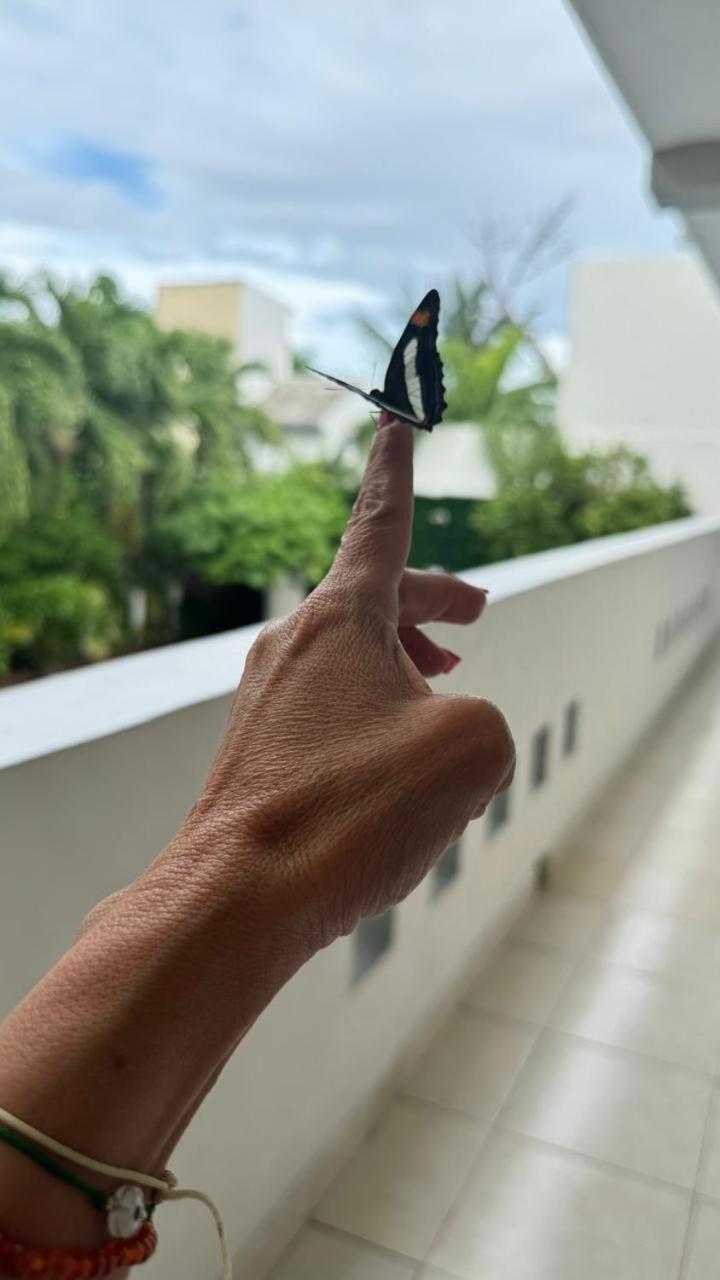 Balxiba Hotel Playa del Carmen