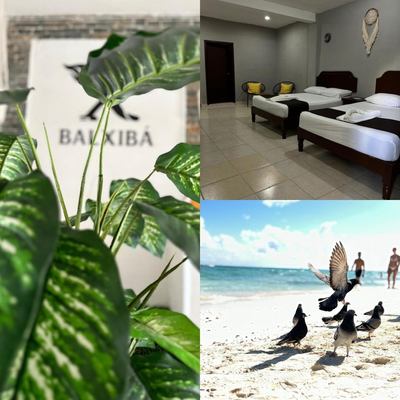 Balxiba Playa del Carmen