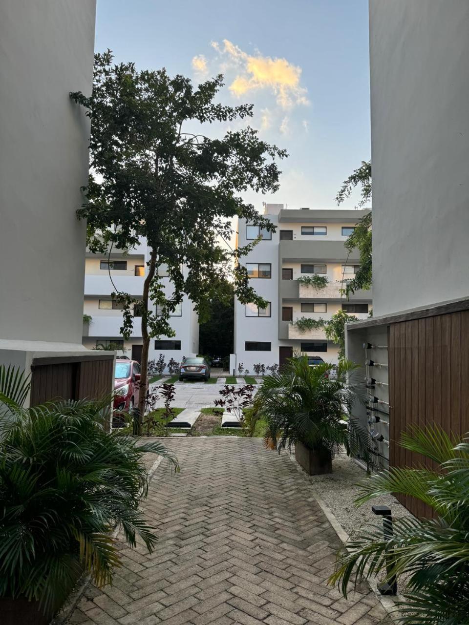 Apartamento Departamento Mi Valeria Linda Playa del Carmen