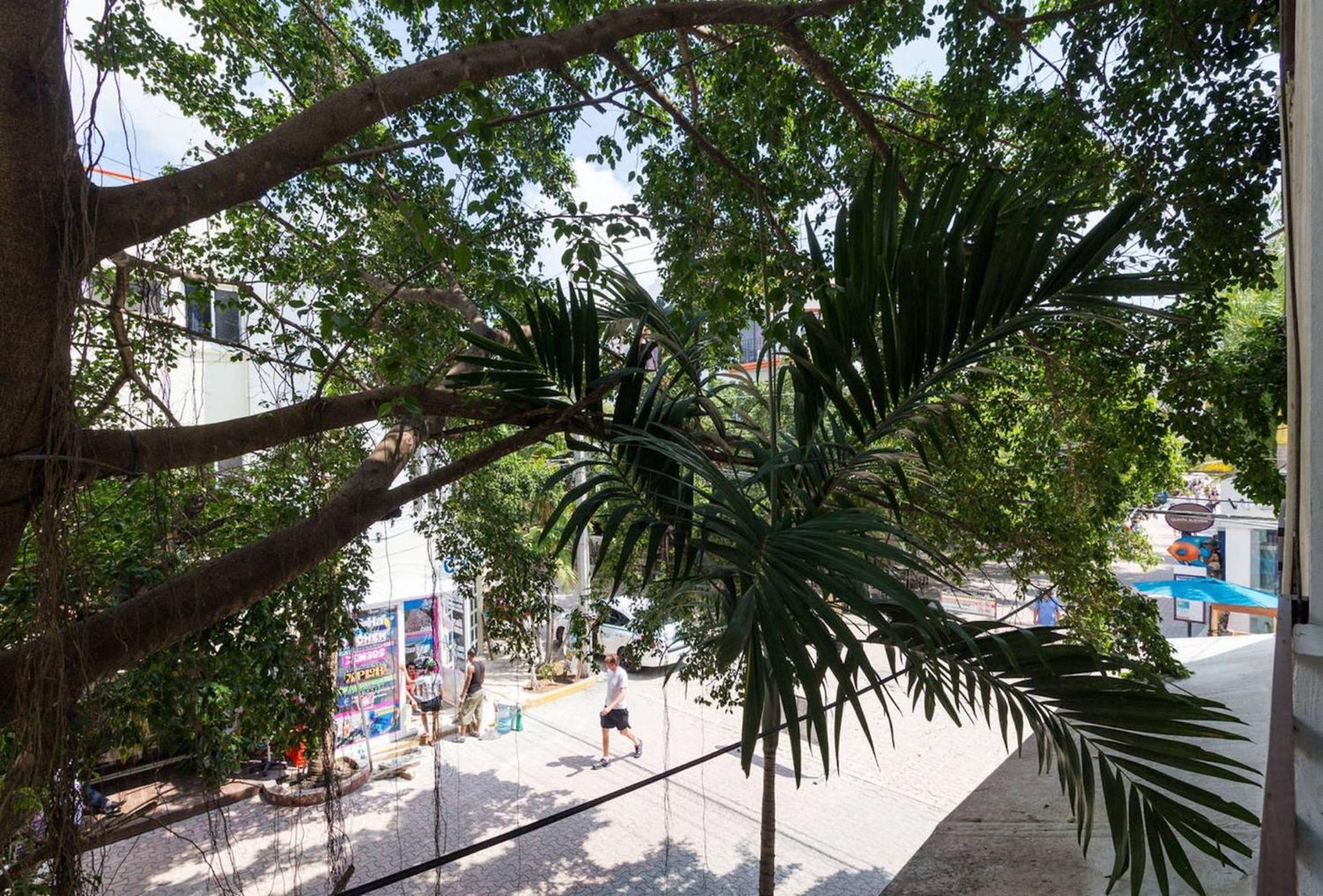 Apartment Pancho Double Dolce Caribe *