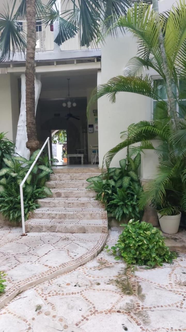 Casa Coco Rio 3*