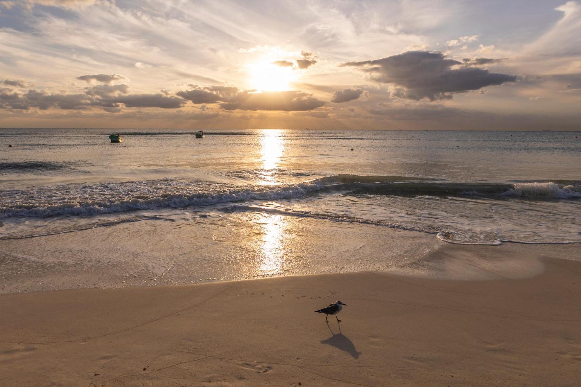 By Kinta Lodge Playa del Carmen
