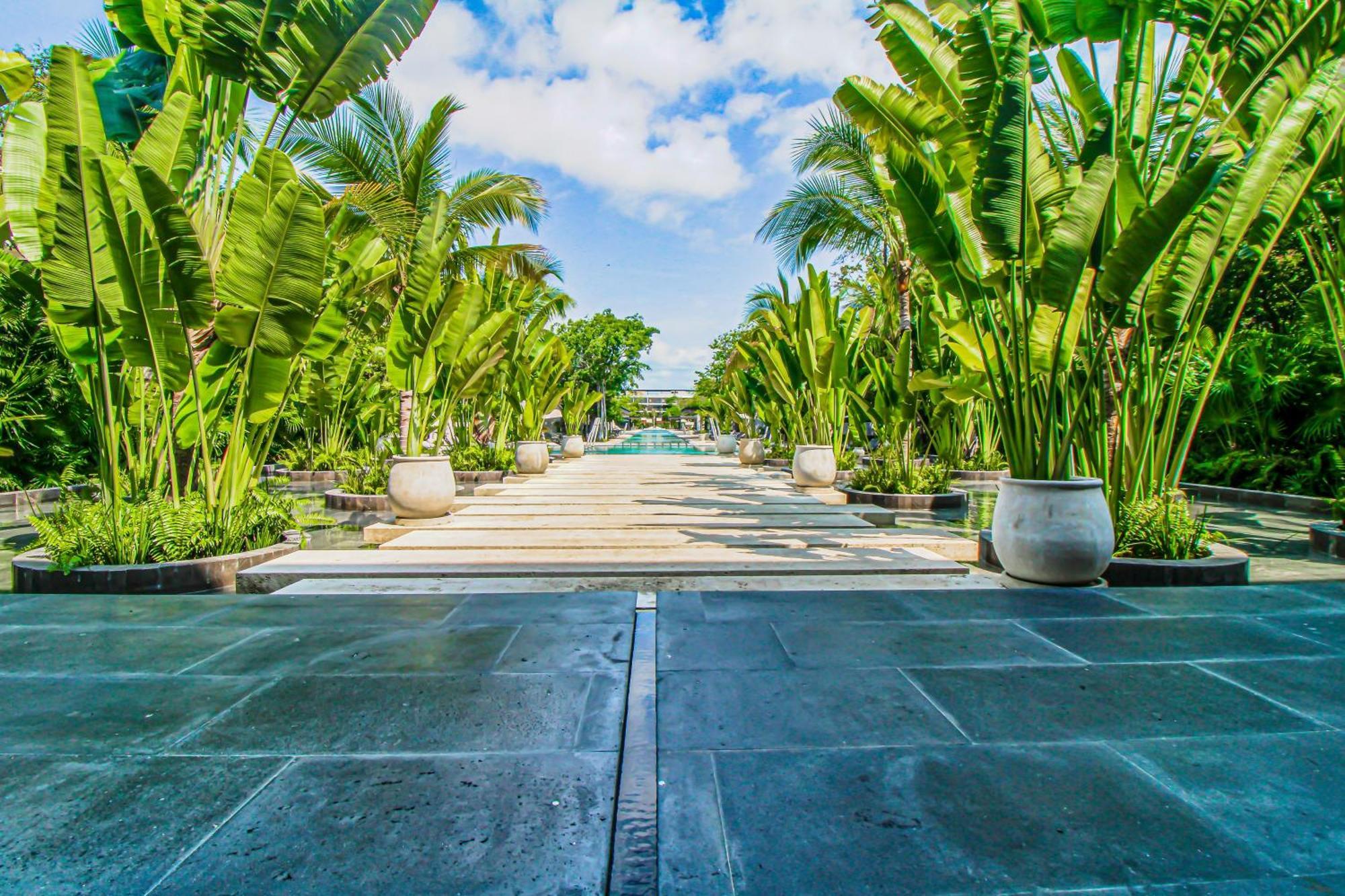 Lush Escape At Awa Playacar *