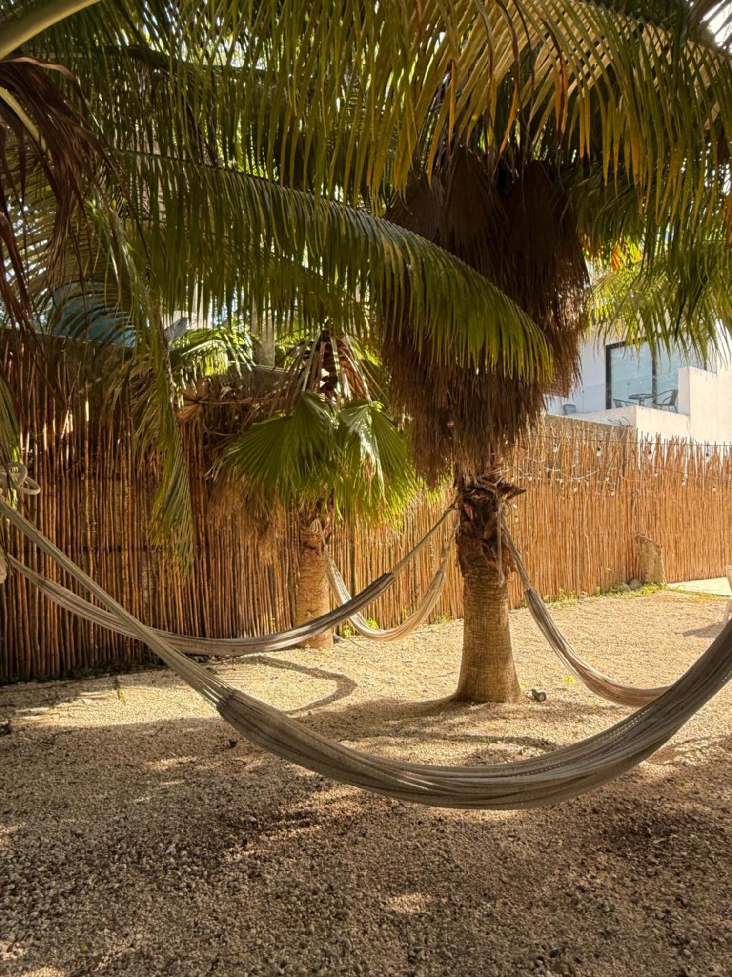 Apartamento Casa Caiman *