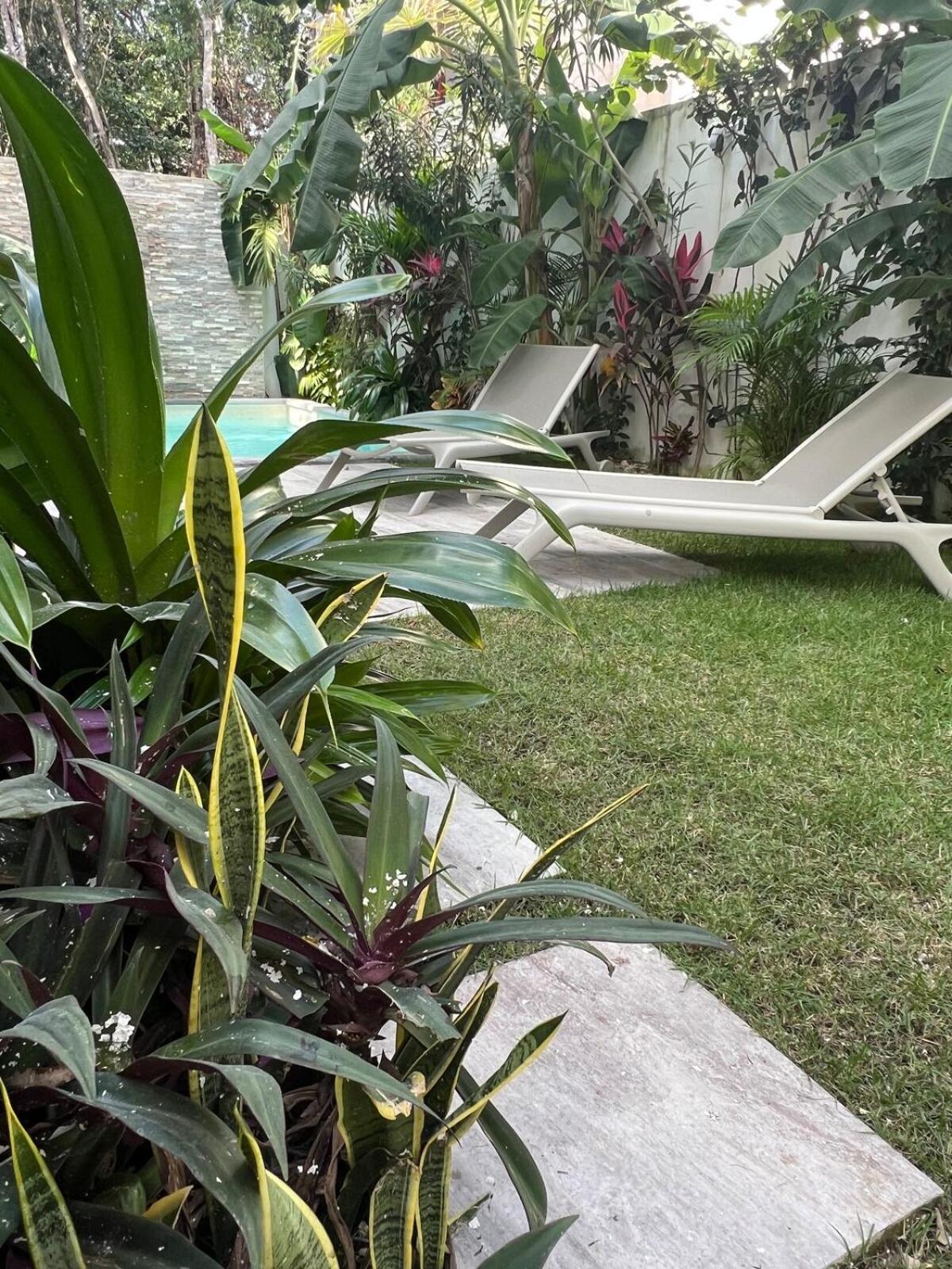 Pousada Luxury Vacation Near The Caribbean Ocean Playa del Carmen