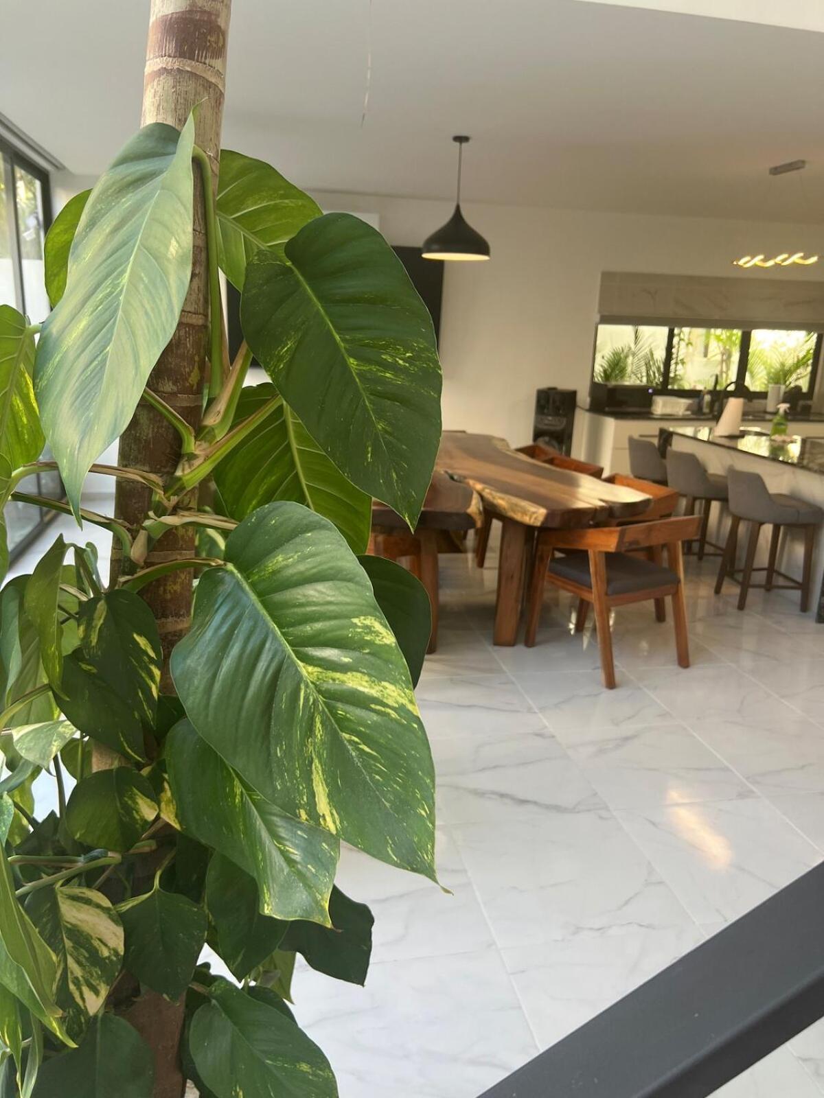 Luxury Vacation Near The Caribbean Ocean Pousada Playa del Carmen