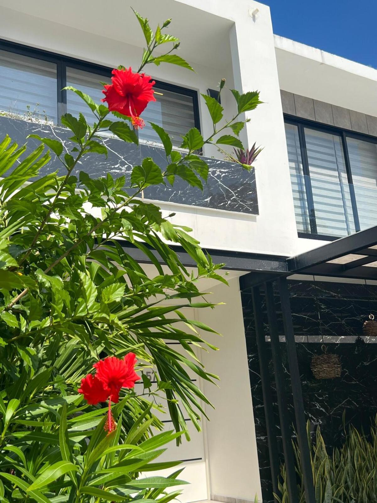 Pousada Luxury Vacation Near The Caribbean Ocean *