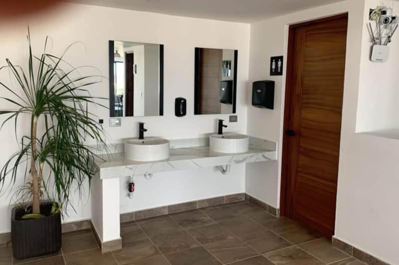 Stylish In The Heart Of Playa Apartment
