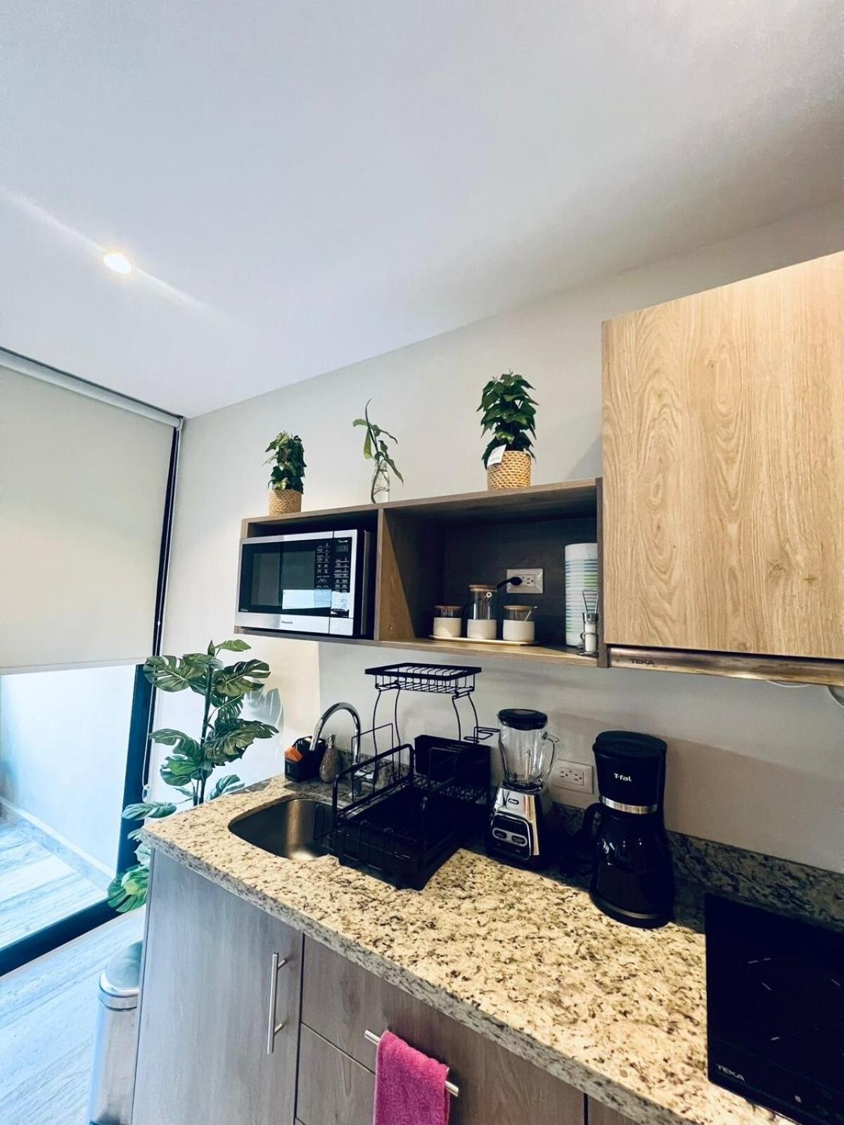 Luxurious Studio, Căn hộ