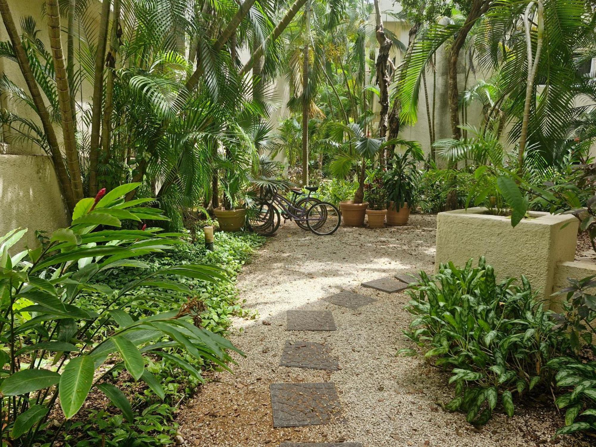 Apartamento Luxurious In Playacar With Golf *