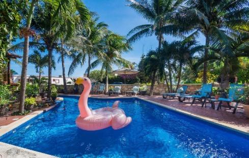 Xaman Ha 36 Playa Del Carmen-steps From The Beach! Playa del Carmen
