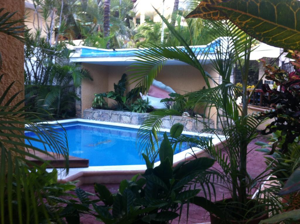 Hotel Vista Caribe Diving