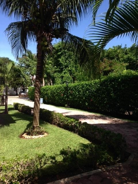 Hibiscus Bed & Breakfast 3*