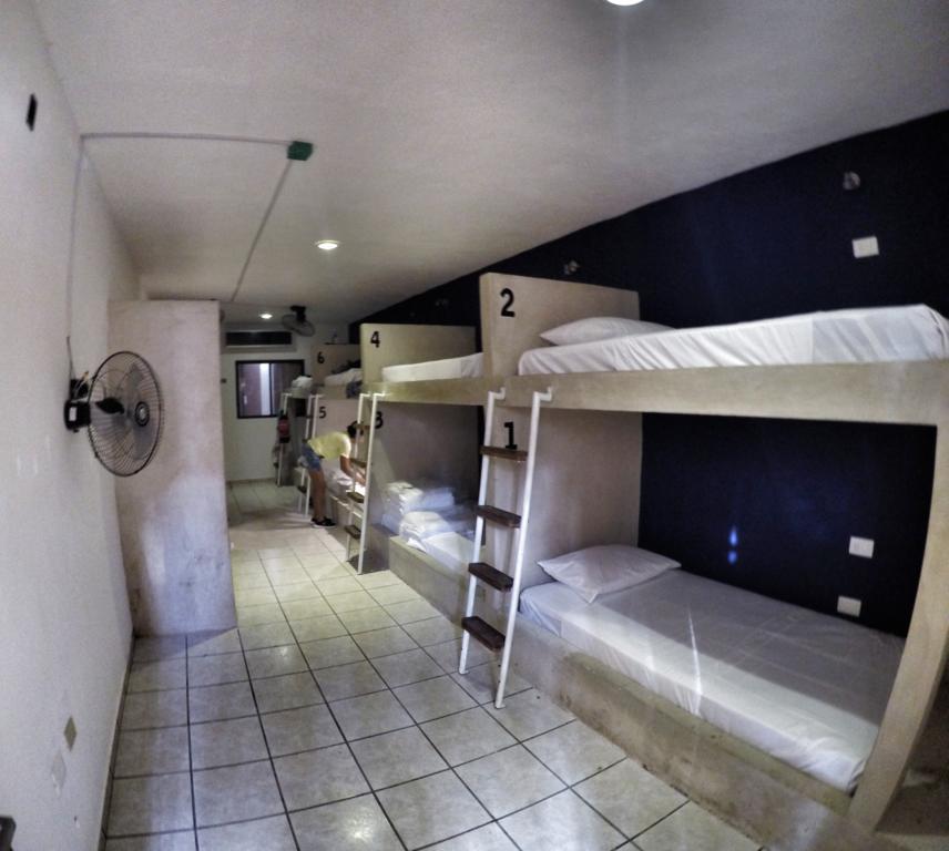 Hostel Lobo De Mar *