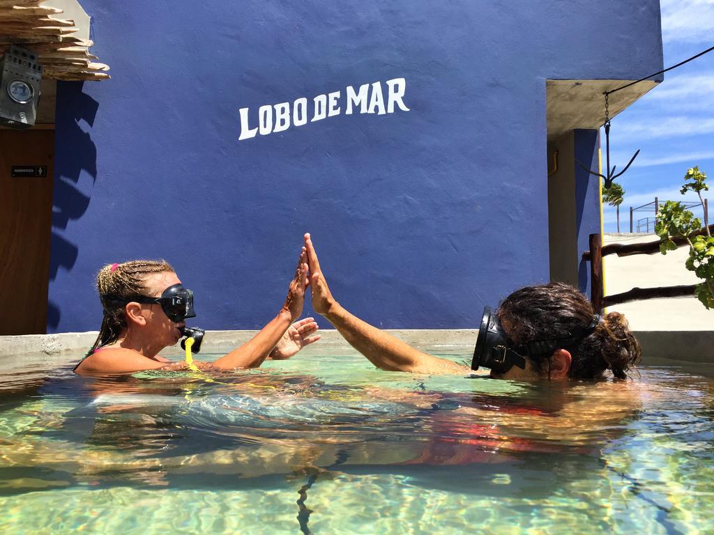 Lobo De Mar Playa del Carmen