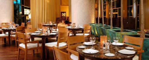 Hotel Grand Luxxe Jungle At Vidanta Riviera Maya Playa del Carmen