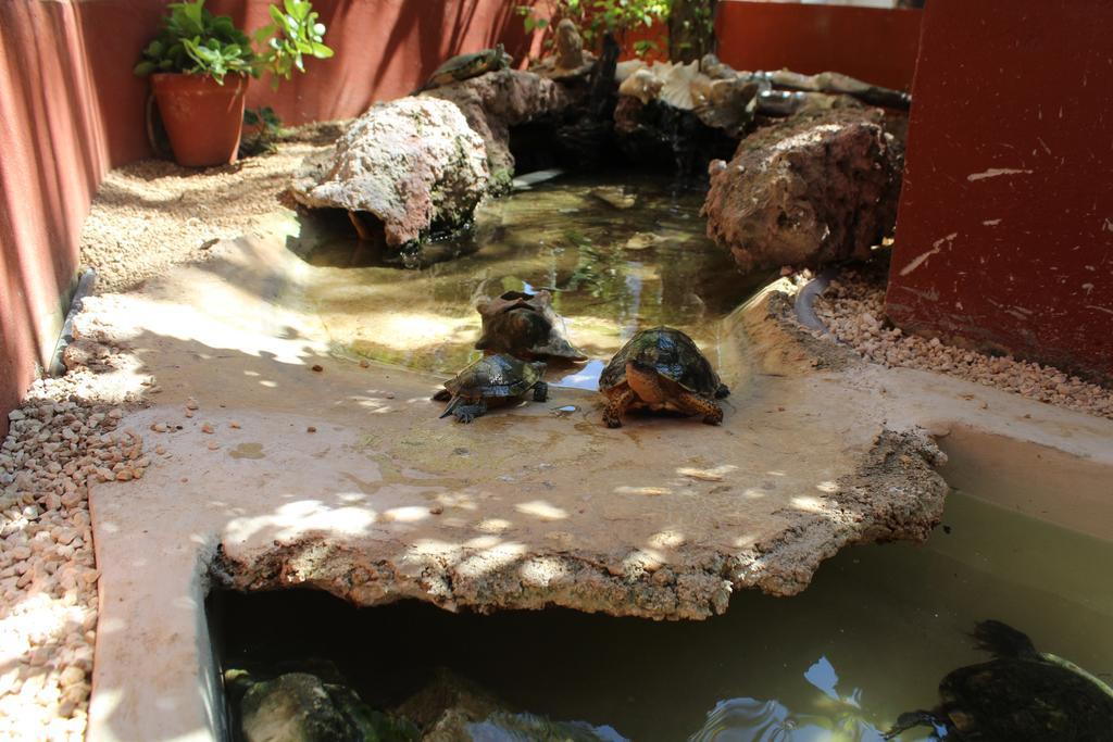 El Acuario Playa del Carmen
