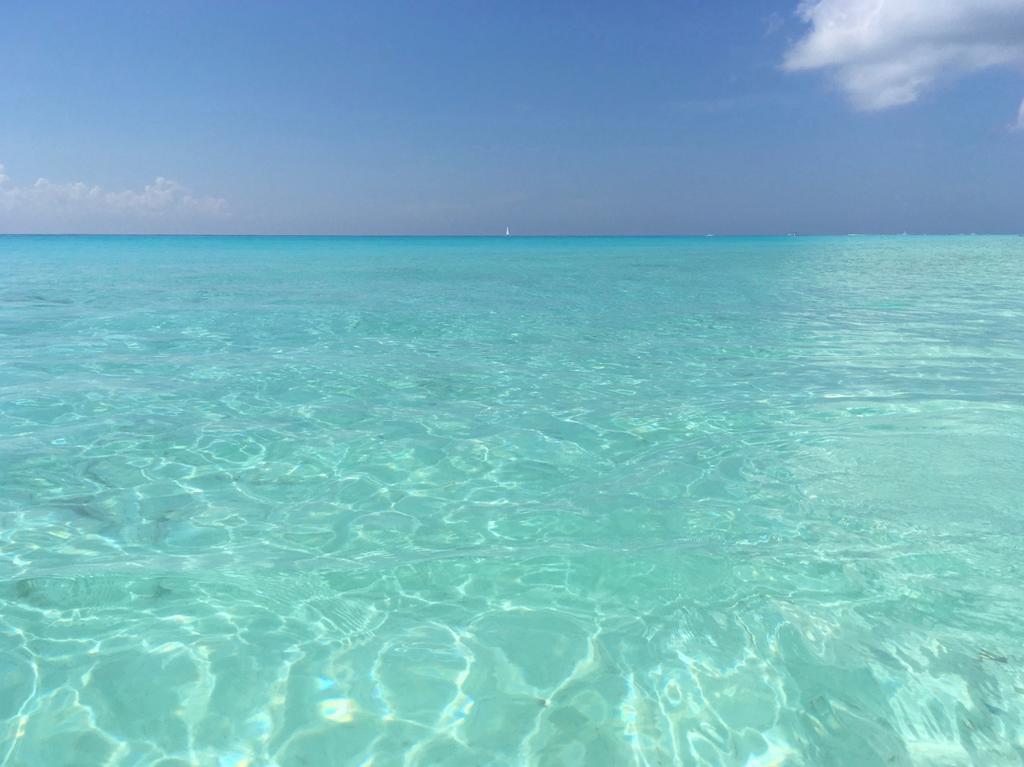 Hibiscus Playa del Carmen