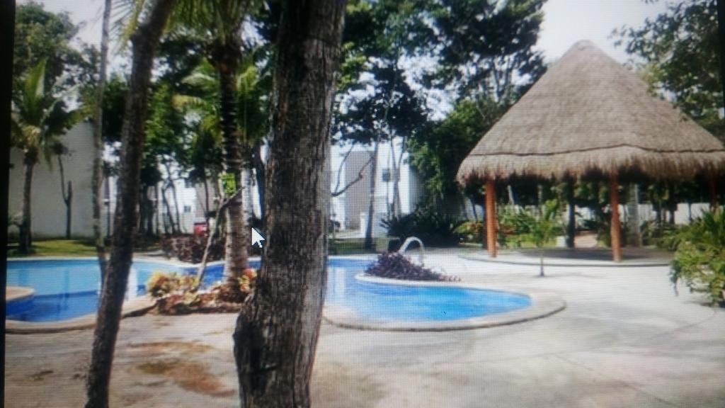 Nhà nghỉ Casa Los Olivos
