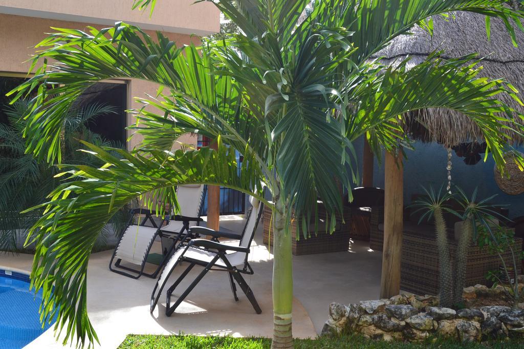 Bed & Breakfast Myoli B&b. Playa Del Carmen, Mexico 2*